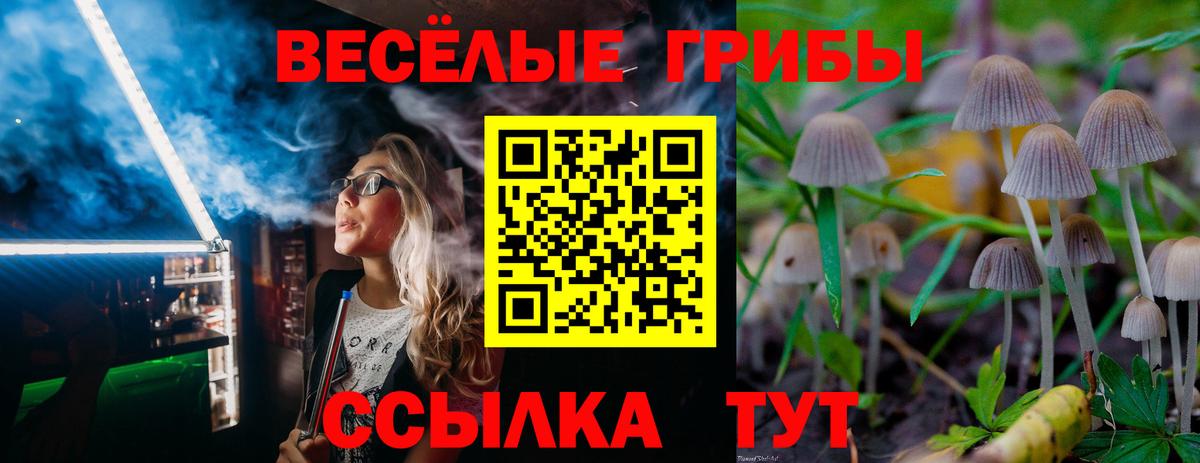 Галлюциногенные грибы Psilocybe  Вход с VPN  Ростов-на-Дону  где можно купить   Галлюциногенные грибы мицелий 